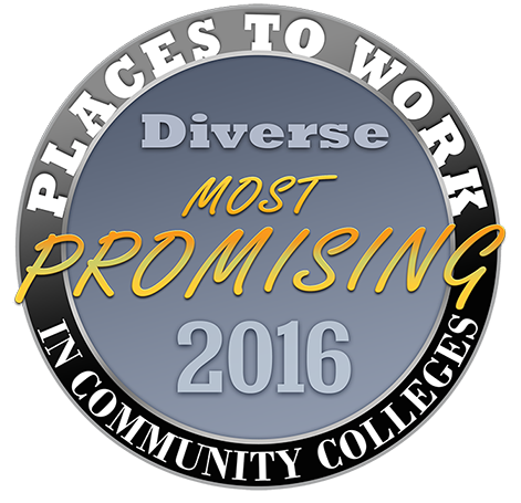 Diversity essay contest   valley city state university