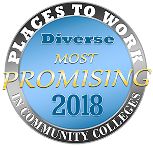 2018 Promising Places Logo