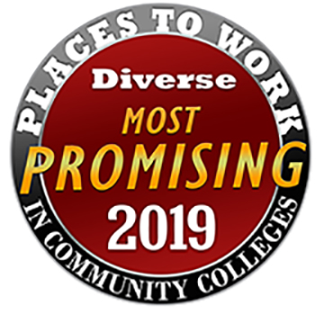 2019 Promising Places to Work in Community Colleges logo