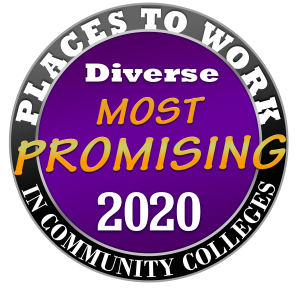PROMISING-LOGO_2020 2020 PPWCC Logo