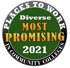 Most Promising Places to Work in Community Colleges logo