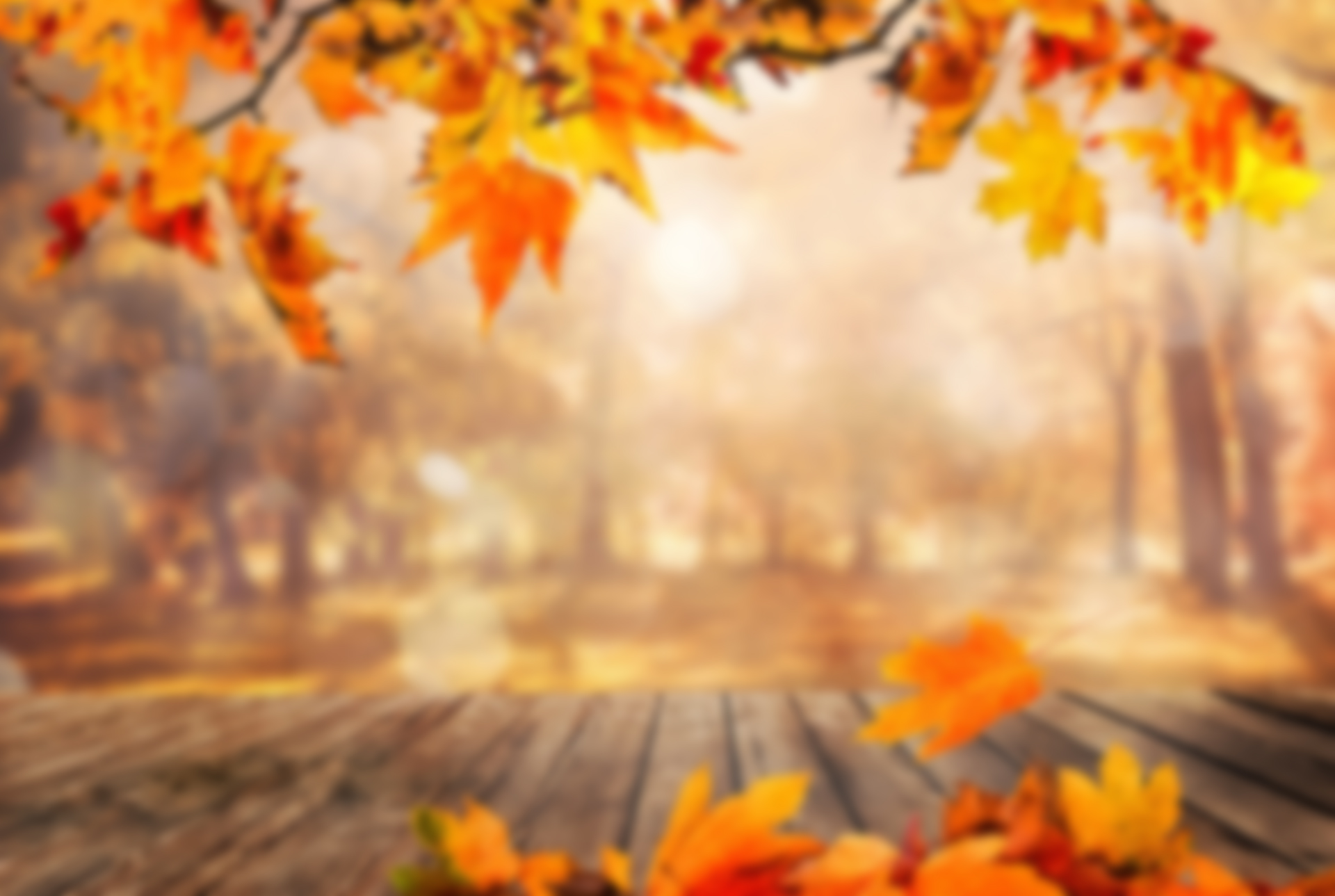 Fall Background image