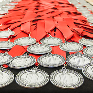 Excellence Awards medallions on table.